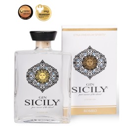 Gin Sicily Etna dry Premium Spirits - Romeo Vini